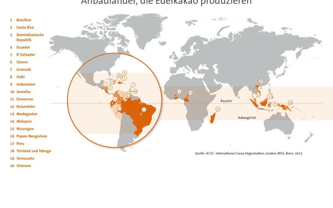 Infografik „Anbauländer, die Edelkakao produzieren“